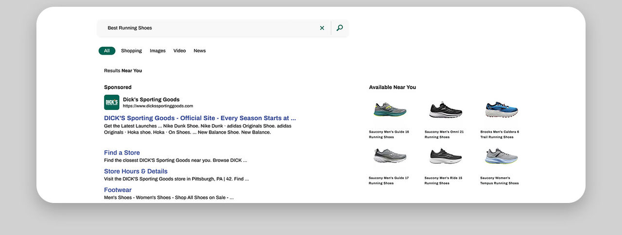 An example of paid search promotion when partnering with Dick's Sporting Goods