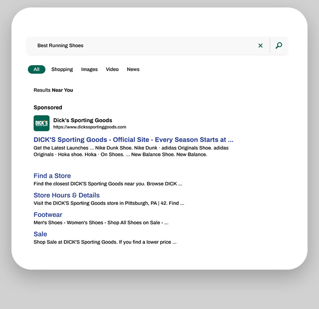 An example of paid search promotion when partnering with Dick's Sporting Goods